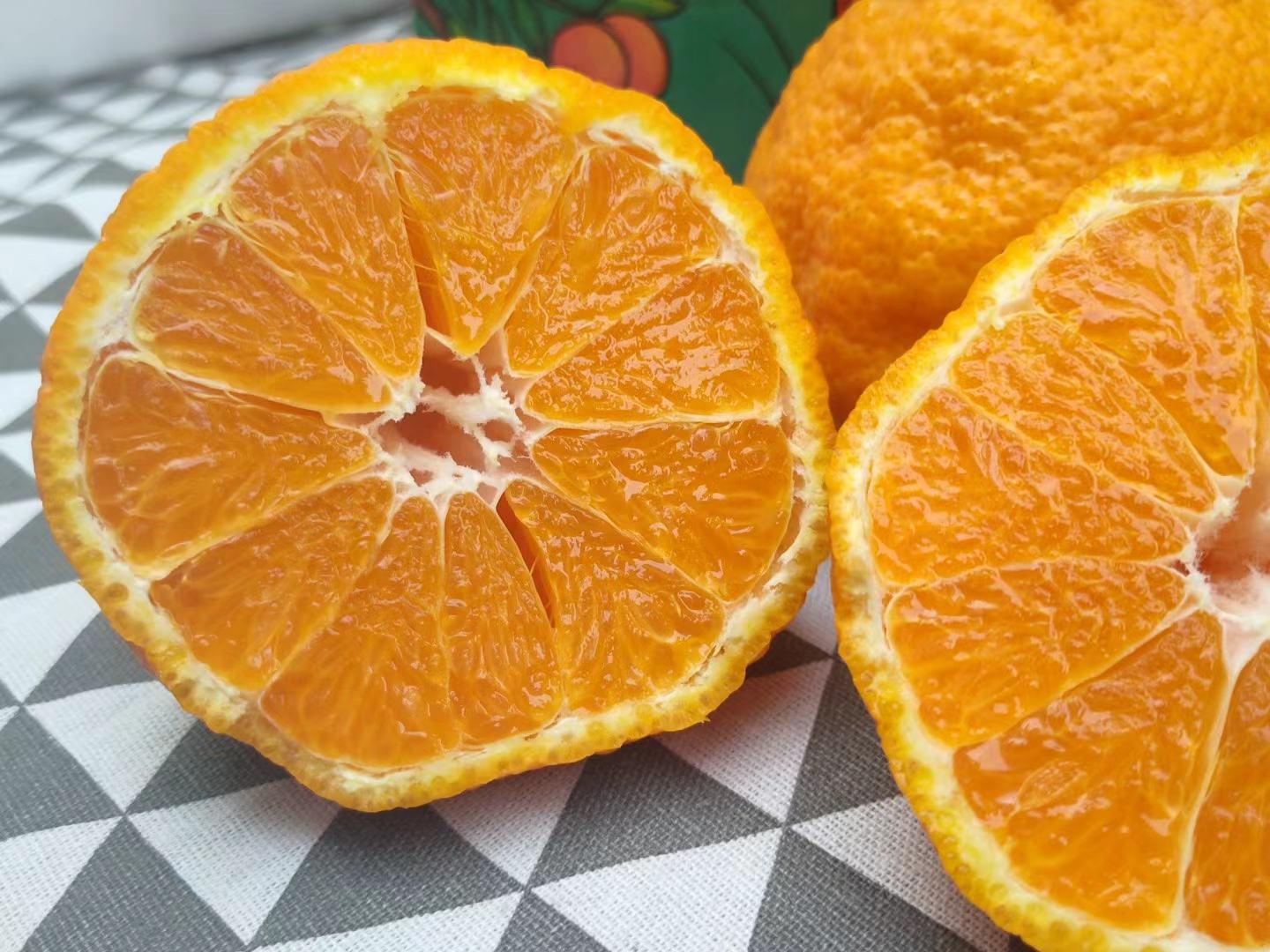 不知火丑柑特写