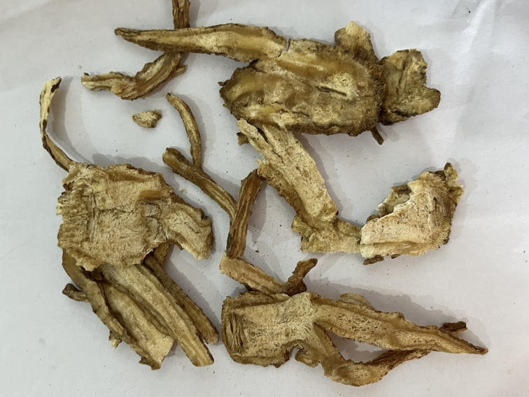 当归切片展示图