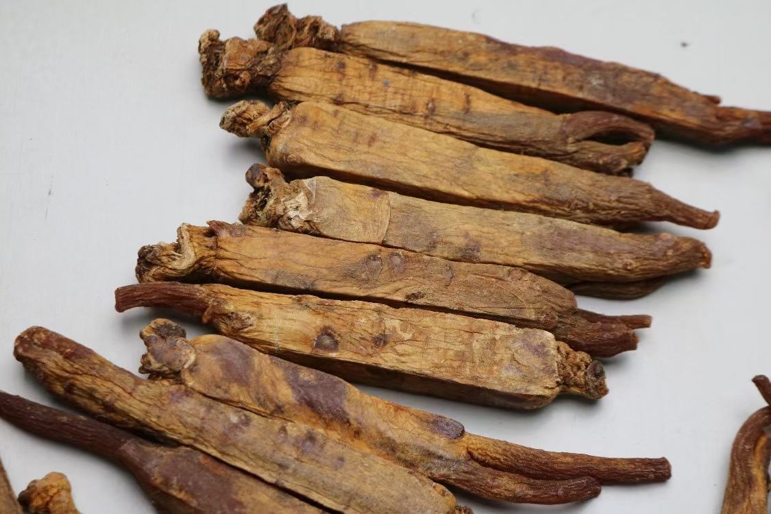 高丽参红参原产地生态图:展示其严格限定的地理标志产区——朝鲜开城或韩国锦山,土壤pH 5.5–6.2,海拔300–600米,林下荫蔽栽培环境,体现道地性对品质的决定性影响 高丽参红参生长环境实景:朝鲜半岛北部坡地,黑色腐殖土覆盖,植株行距整齐,遮阳网下可见典型掌状复叶与红色成熟果实