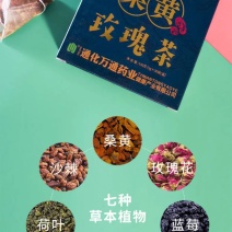 万通桑黄茶