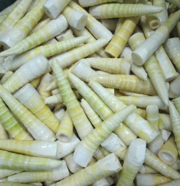 速冻雷笋速冻蔬菜南靖速冻雷竹笋工厂企业化加工质量把控