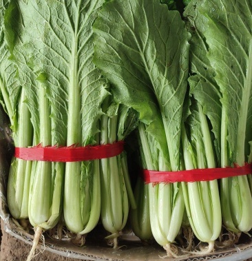 [小白菜批发]青帮小白菜价格0.80元/斤 - 一亩田