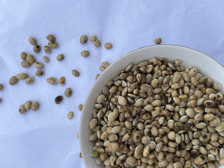 白扁豆干货与烹饪对比图