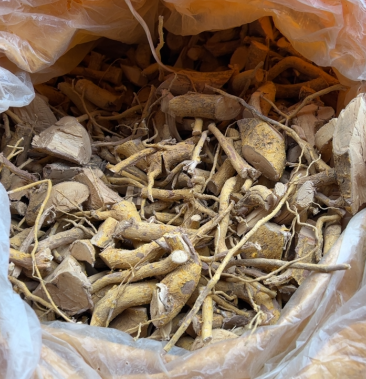 山杜仲根纯根一斤也是批发拔丝新黄净货无硫