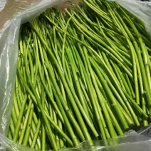 一等一精品芦蒿