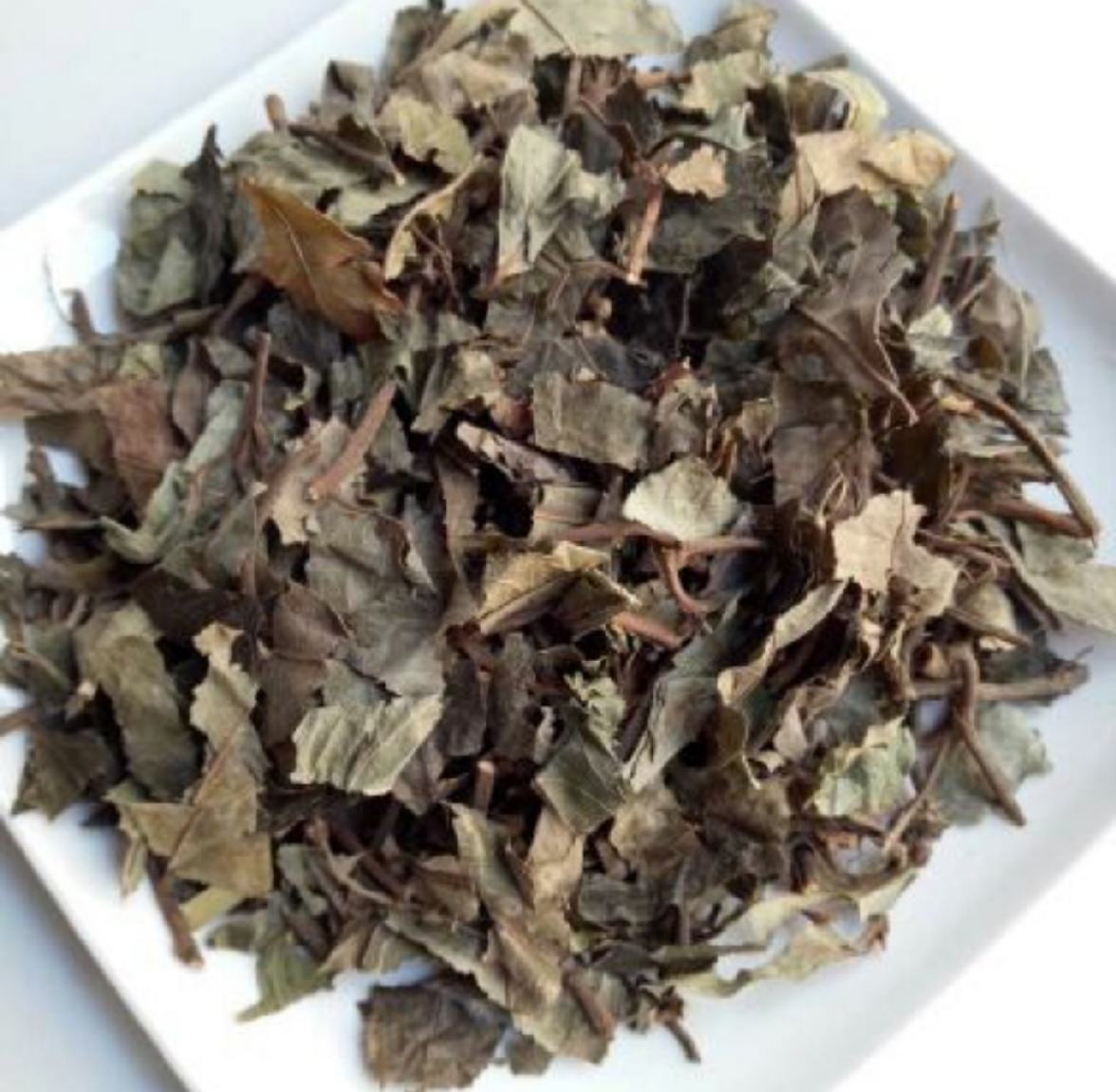 高清微距摄影:左侧为脱壳苦荞米(浅黄褐色,三棱形,表面具细微纵沟),右侧为五年生美国威斯康星产西洋参切片(米白色,断面呈放射状纹理,可见明显树脂道,厚度1.2mm±0.2mm),背景为玻璃茶壶中淡金黄色澄清浸出液,液面漂浮少量细小芦丁结晶 苦荞籽粒与西洋参切片特写对比图
