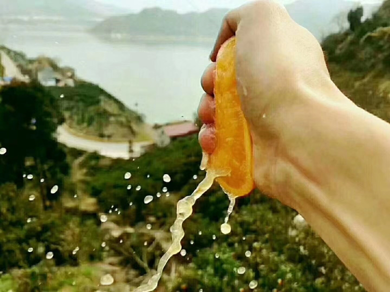 甜橙用于果汁制作的场景图