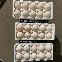鹅蛋，雁鹅蛋，，促销，团购，平台，没裂纹，，质量保障，，