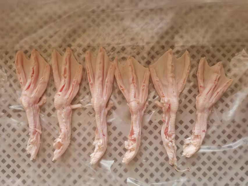 焯水去腥过程