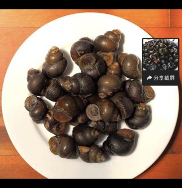 [田螺批发]田螺价格18.00元/斤 - 一亩田