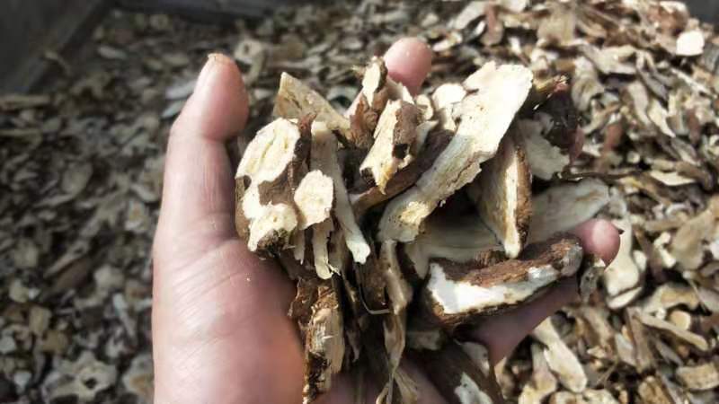 图中展示了一位中医师正在用白术片与其他药材一起煎煮中药,背景为中药房环境 白术片在中药煎煮过程中的使用场景