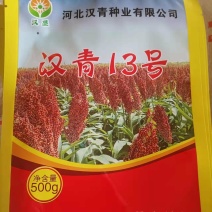 矮杆高产品种，汉青13号，株高一米二，亩产一千二三百斤