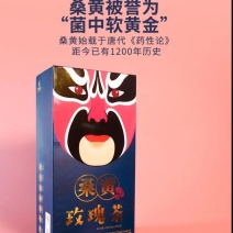 桑霜茶
