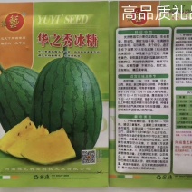 华之秀冰糖礼品西瓜种瓜瓤橙黄色14度不易空心皮薄果个均匀