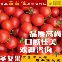 【力荐】莘县万亩产地直供圣女果货源保障代办服务完善