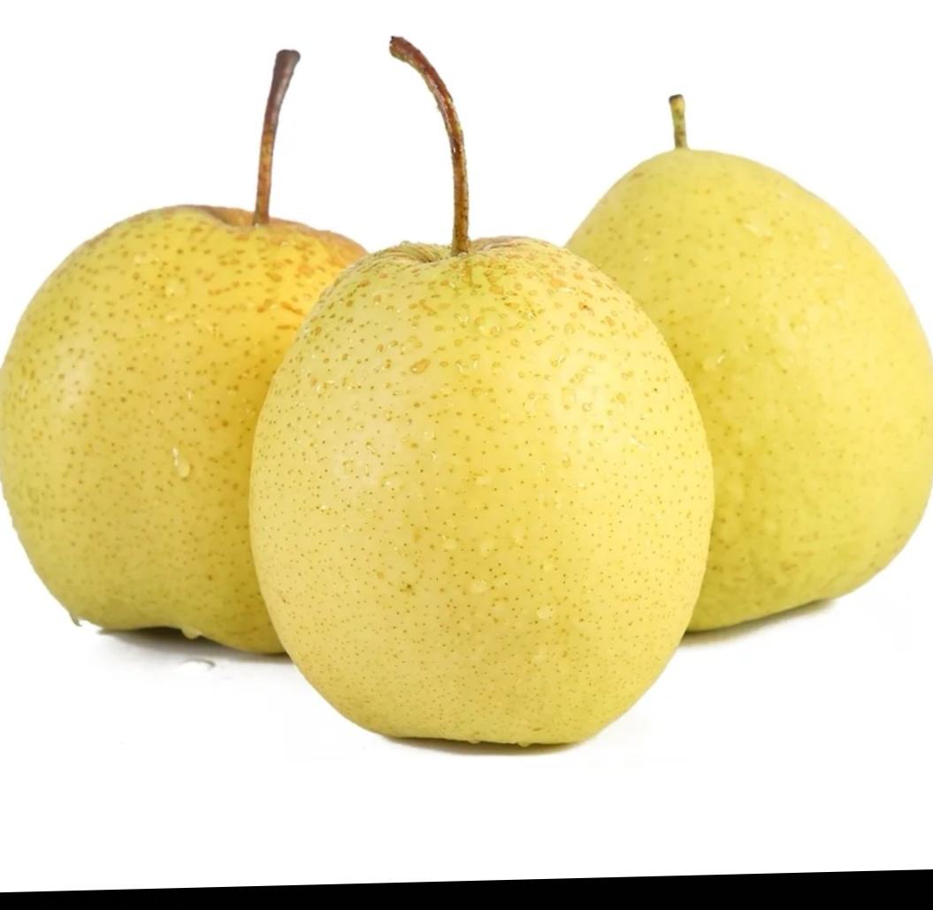 不同梨品种横切面对比照片