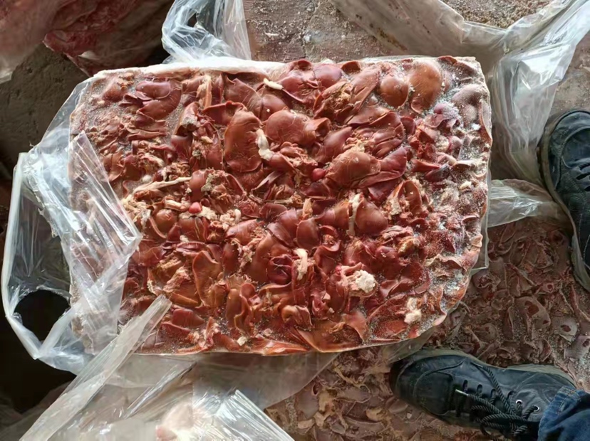 中国鸭梨出口市场分布图,标注主要出口国家及出口量占比 中国鸭梨出口市场分布图