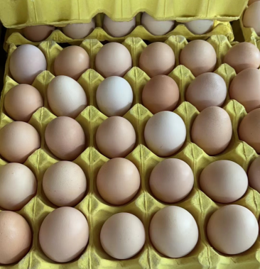 [柴鸡蛋批发]自家营养柴鸡蛋04价格220.00元/箱 - 一亩田