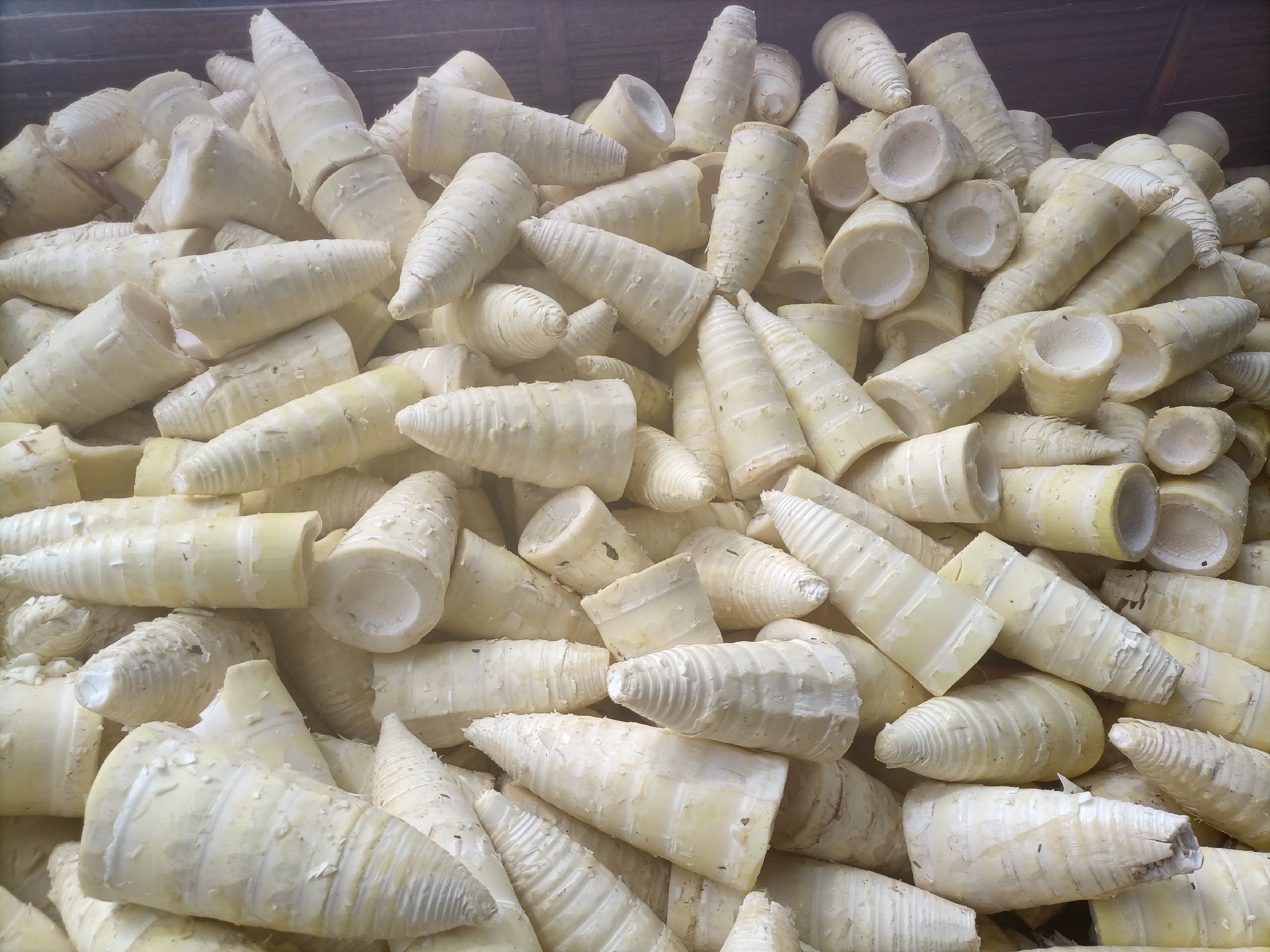 干竹笋泡发前后的对比图