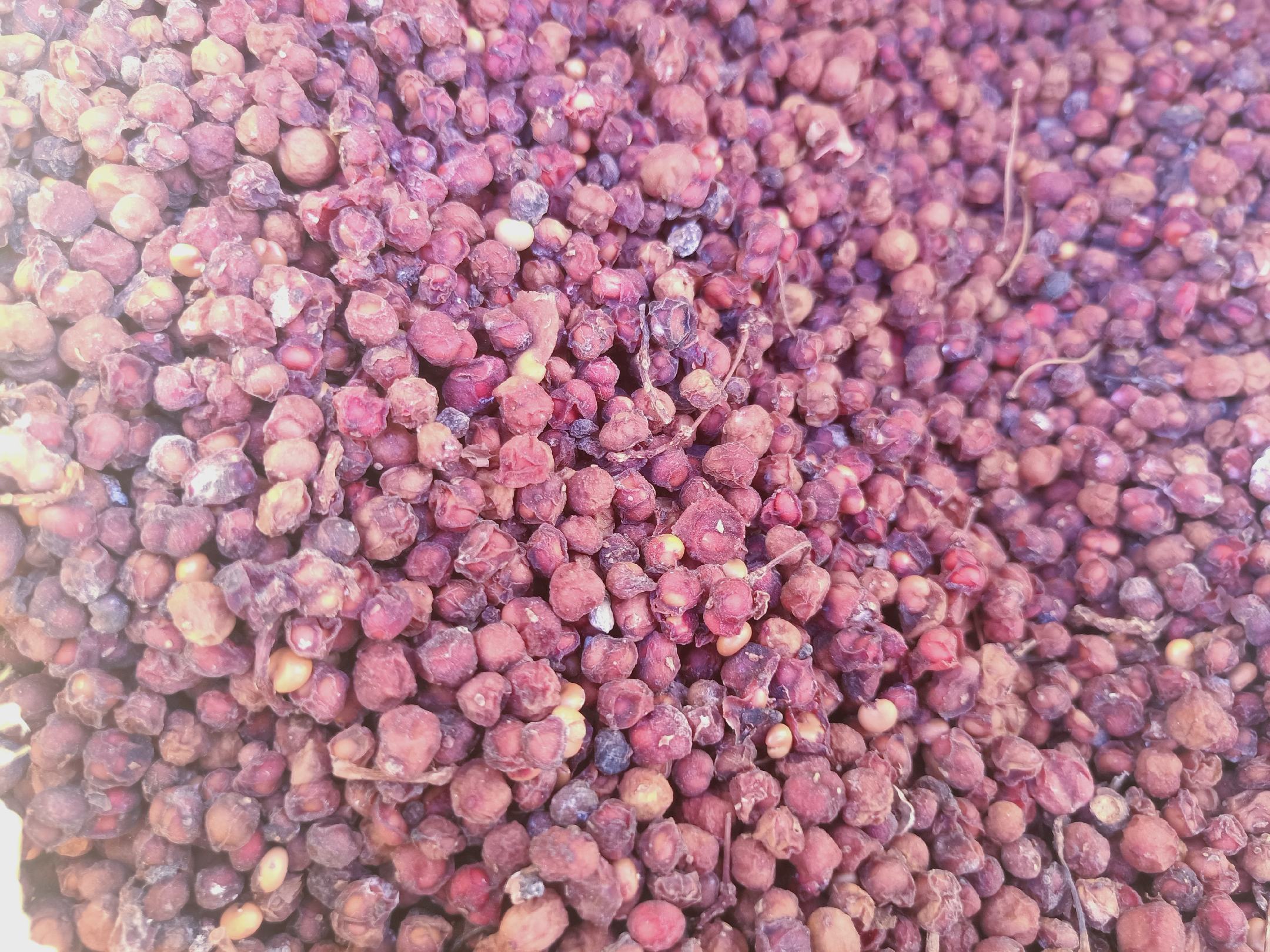 五味子营养成分示意图,展示木脂素、多糖、氨基酸等主要成分 五味子营养成分图解