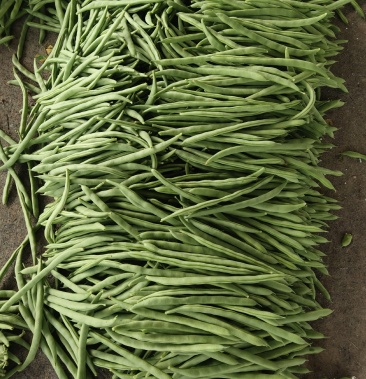 [四季豆批发]四季豆,小金豆价格5.00元/斤 - 一亩田
