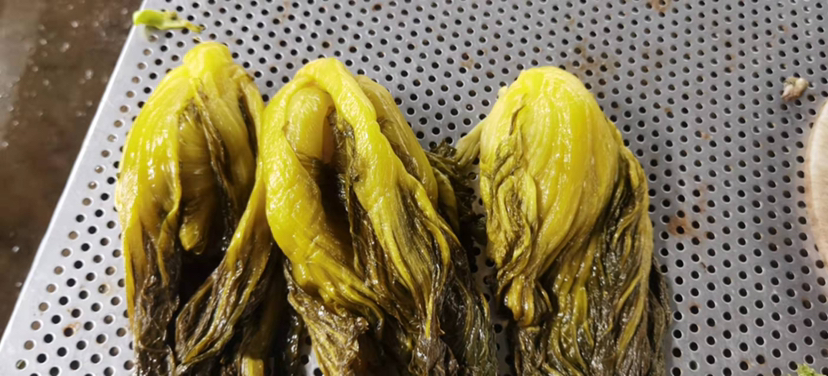 一张拼图展示紫甘蓝泡菜的三种吃法:左侧是盘中盛放的深紫色泡菜条,中间是夹在全麦面包中的泡菜三明治切面,右侧是热腾腾的泡菜豆腐汤,冒着蒸汽,配有葱花点缀 紫甘蓝泡菜多种食用方式拼图