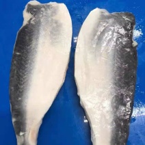 巴沙鱼