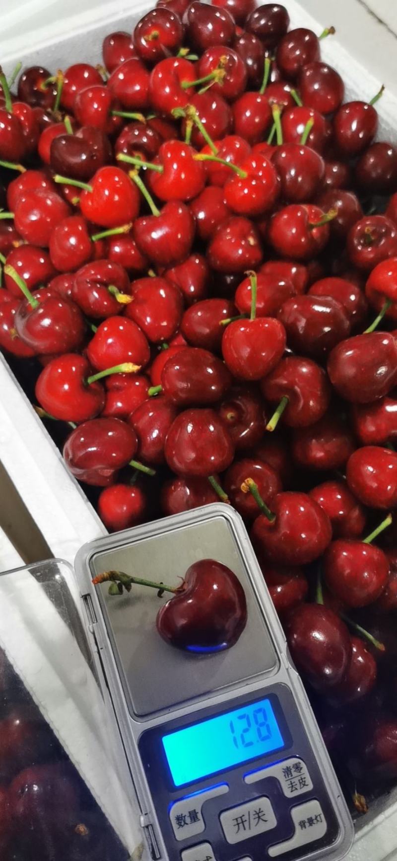 山东潍坊上林美早大樱桃大落价欢迎各地商贩前来采购