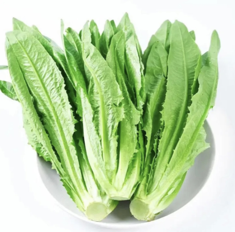 云南精品油麦菜500g