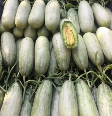 [博洋甜瓜批发]博洋6 博洋91价格7.00元/斤 - 一亩田