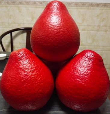 [蜜柚批发]大红袍暹罗柚 高颜值柚子 口感各方面都很好价格0.