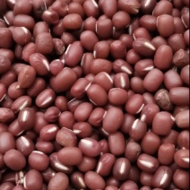 红豆厂家批发红豆红小豆精品红豆优质红豆