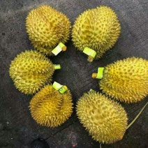 现货秒发榴莲诚心经营
