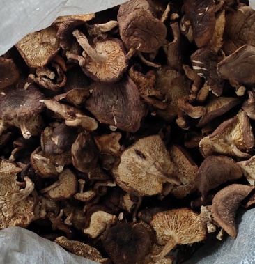 [干香菇批发]纯野生香菇价格300.00元/斤 - 一亩田