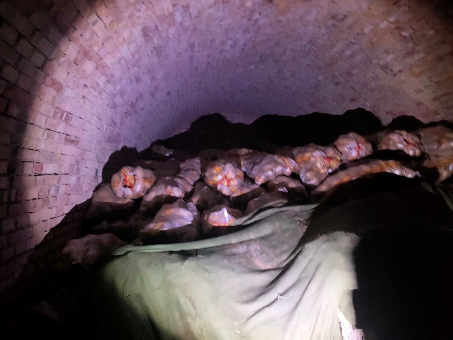 阴凉通风的储物空间内存放土豆的示意图