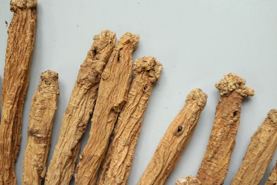 黑玛卡根茎实物图