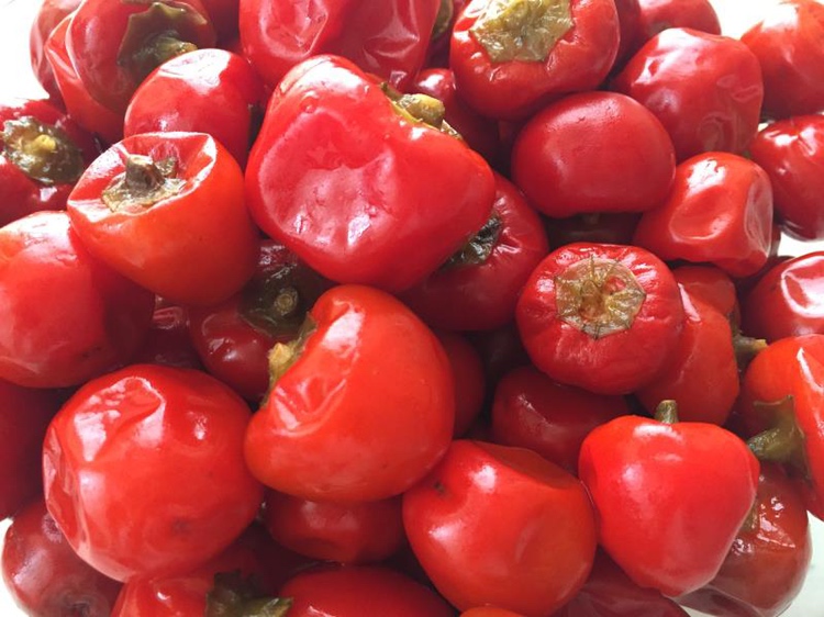 红菜苔腌制过程示意图