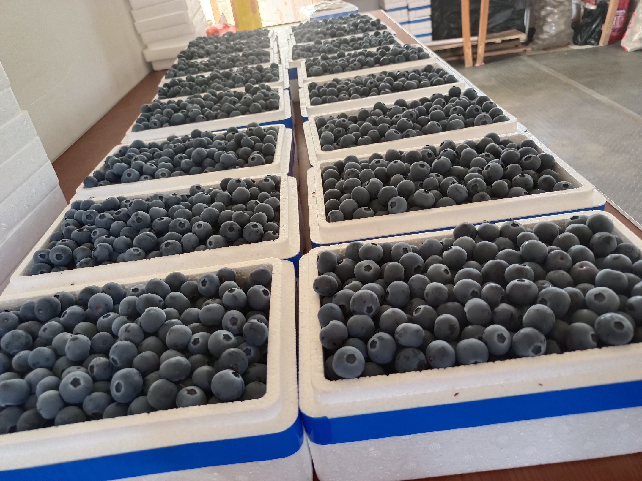 蓝莓果酱制作过程图