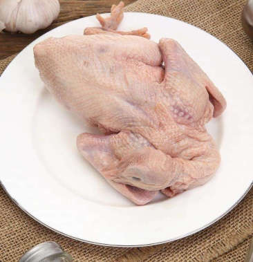 [乳鸽批发]冰鲜乳鸽价格14.00元/个 - 一亩田