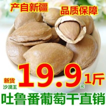 新疆特产手剥小银杏开口白硬壳500g坚果干果厂家直销包邮