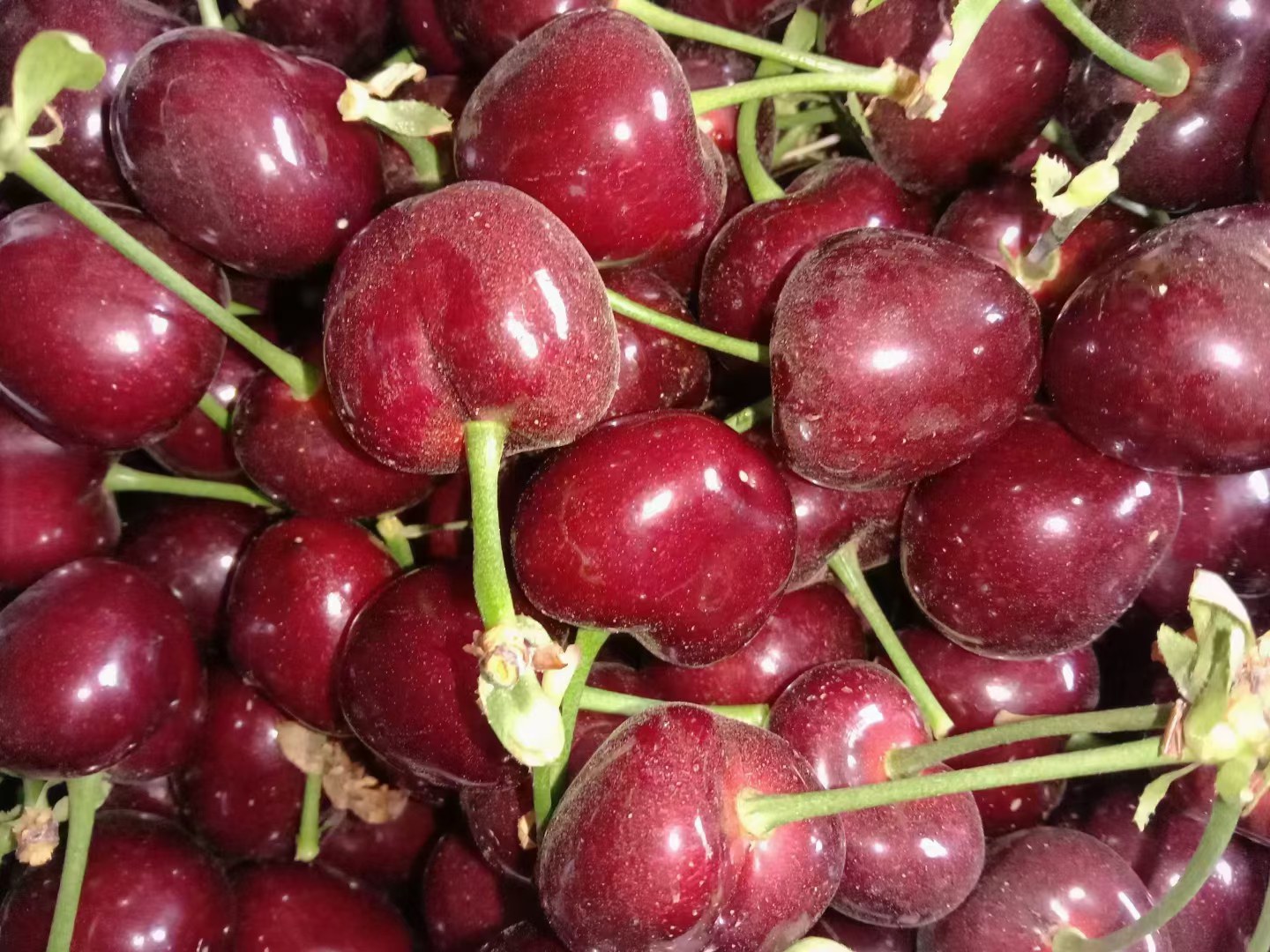 樱桃美食搭配图