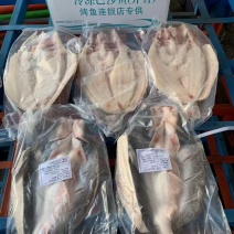 越南进口开背巴沙鱼，全规格现货