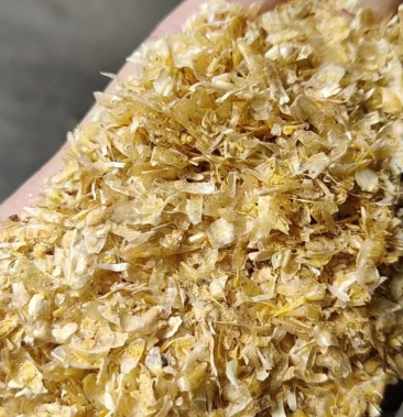 大片玉米皮价格优惠