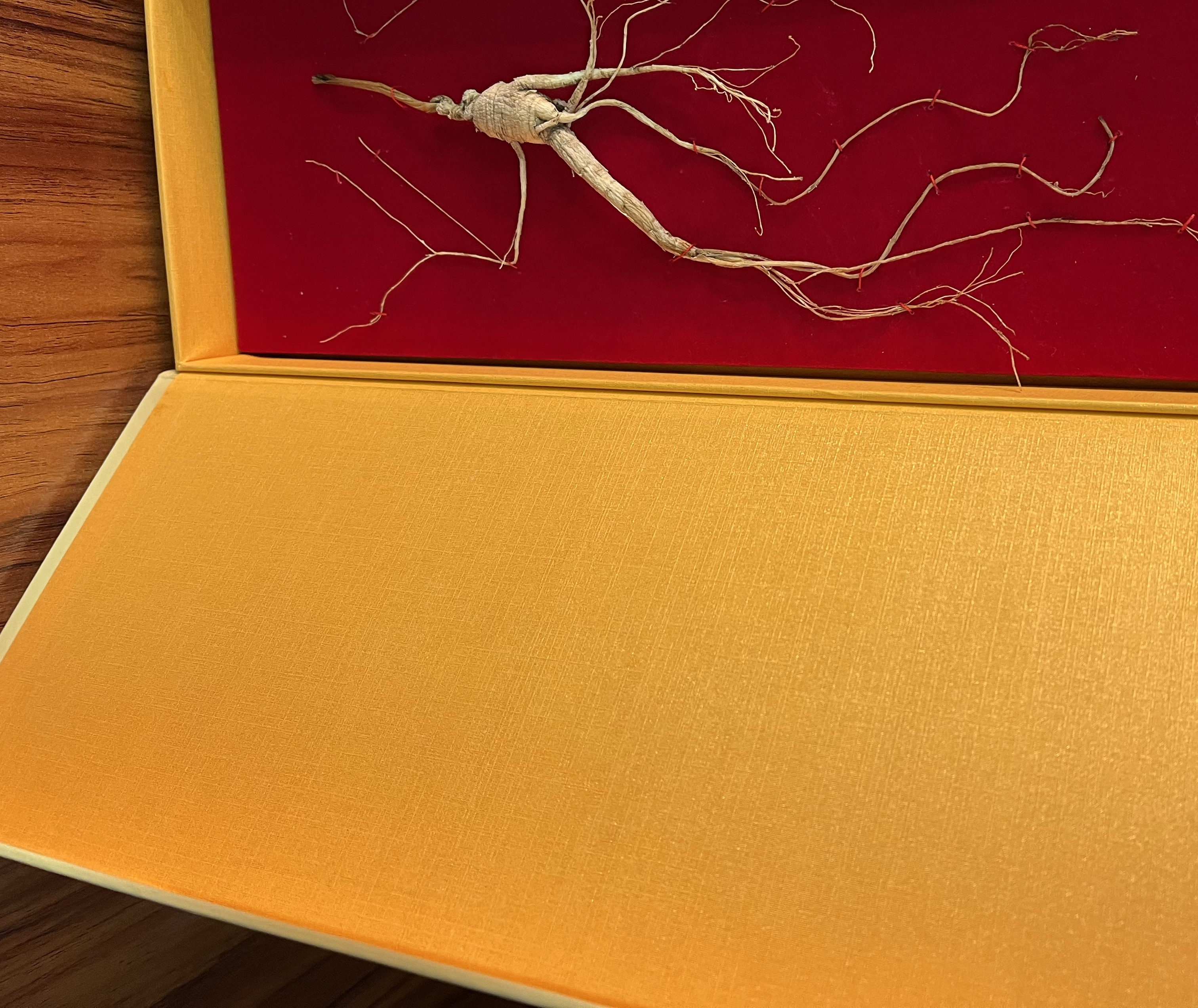 林下参保存环境对比图