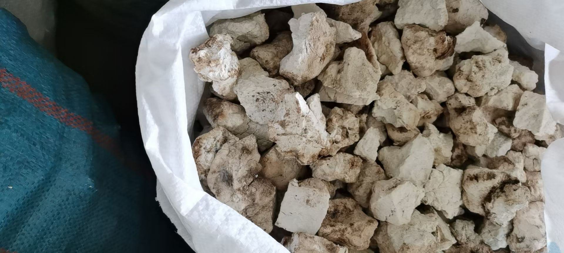 四神汤的主要食材:茯苓、山药、莲子、芡实 四神汤食材图