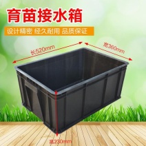 包邮商用花生芽箱加厚花生芽种植箱育苗筐撒播盘芽苗菜种植筐