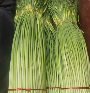 新鲜蒜薹早熟苔蒜蒜薹原产地