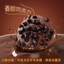巧克力豆味曲奇饼干独立包装网红追剧休闲小零食代餐糕点整