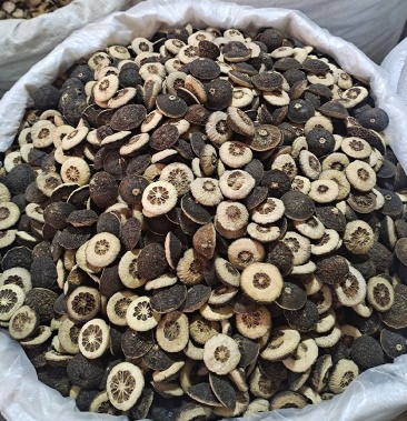 枳实江西枳实对开大小规格齐全地道中药材批发价格