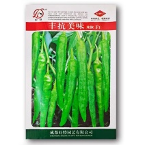 丰抗美味辣椒种子早熟薄皮浅绿牛角型抗病春秋大田高产抗病强